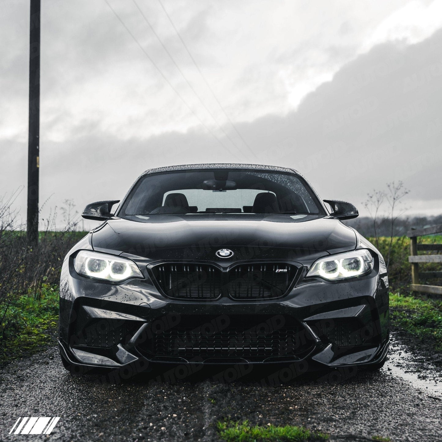 Carbon Fibre Performance Front Blades for BMW M2 (2015 - 2018, F87) - Evolve Automotive