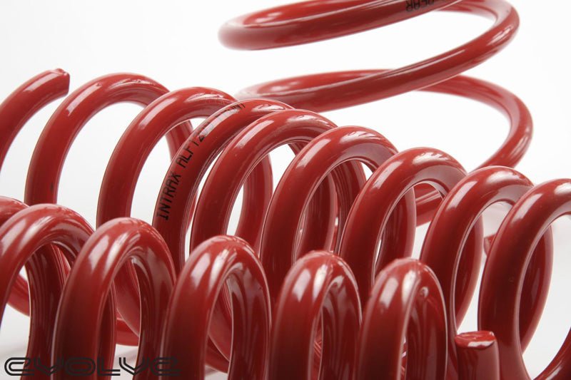 Intrax Lowering Springs - BMW 3 Series E30 M3 - Evolve Automotive